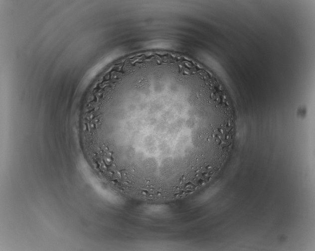X0000113331043200909141422