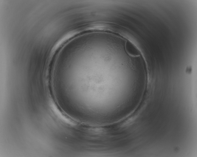 X0000113331045200909141422