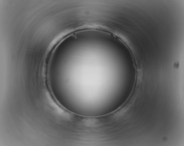 X0000113331046200909141422