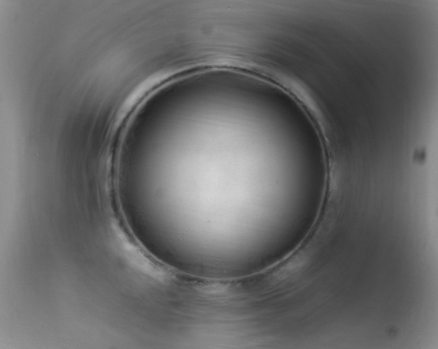 X0000113331048200909141422