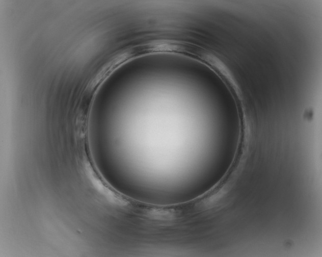 X0000113331049200909141422