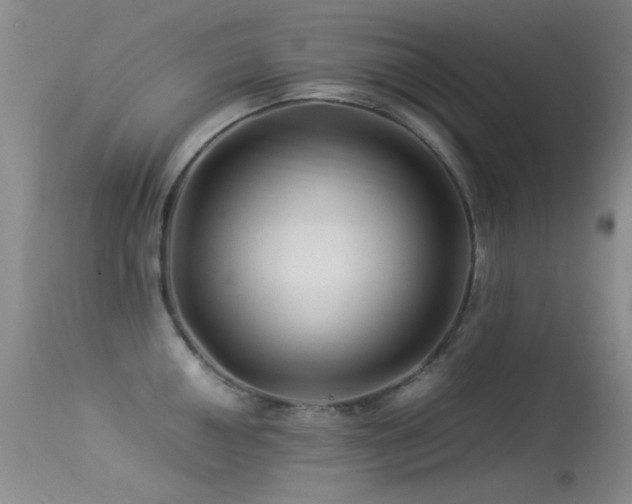 X0000113331050200909141422