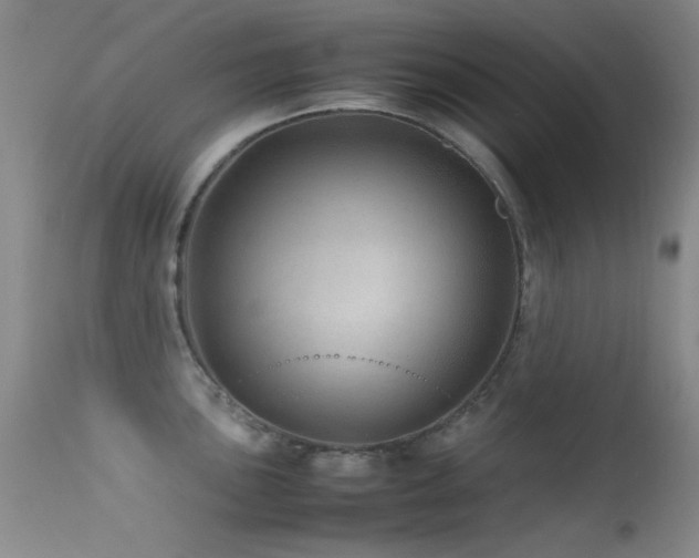 X0000113331051200909141422