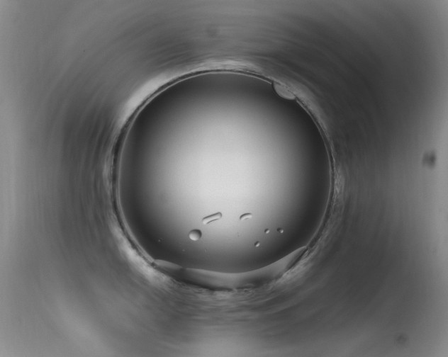 X0000113331054200909141422