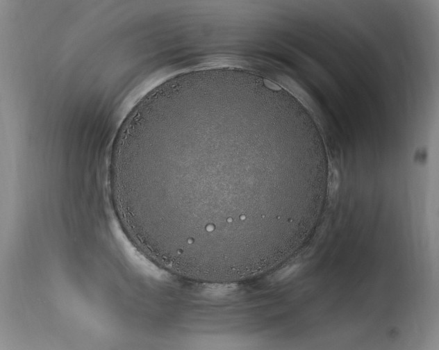X0000113331055200909141422