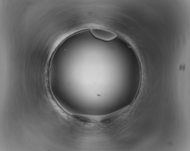 X0000113331056200909141422