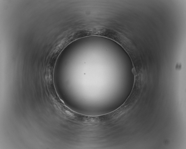X0000113331058200909141421