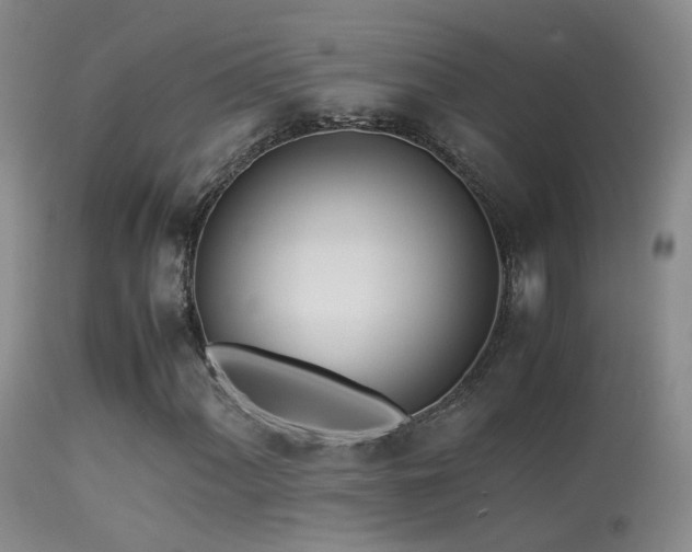 X0000113331060200909141421