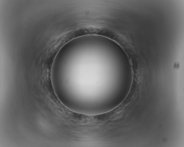 X0000113331061200909141421