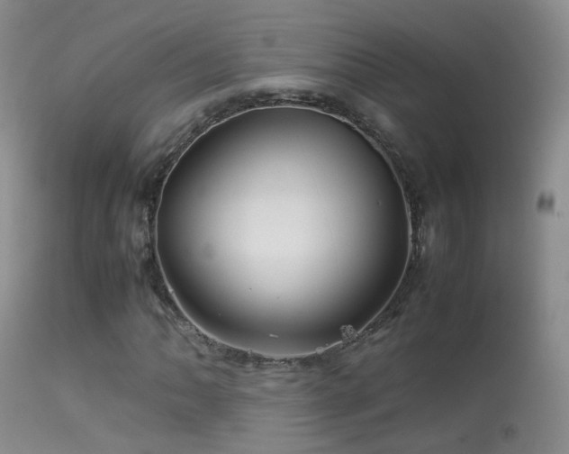 X0000113331062200909141421