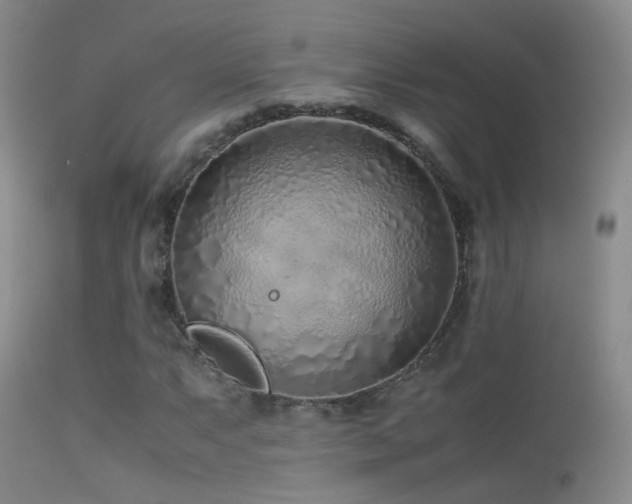 X0000113331063200909141421