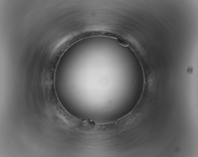 X0000113331064200909141421