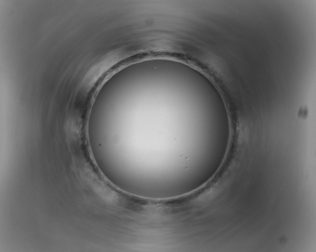 X0000113331065200909141421