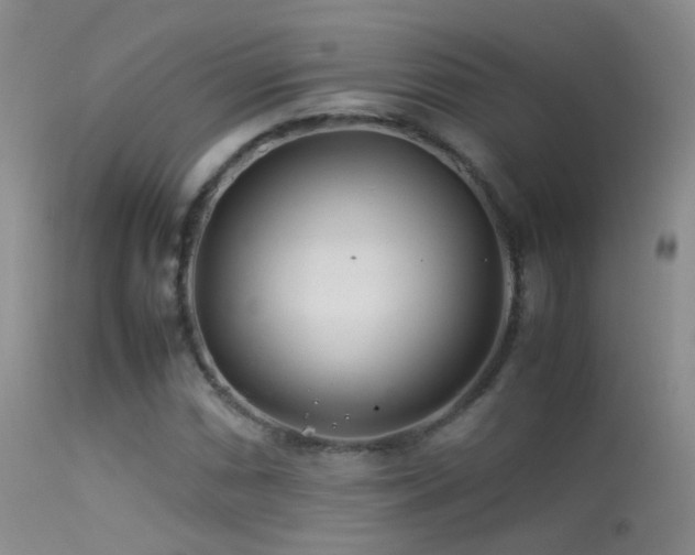 X0000113331066200909141421