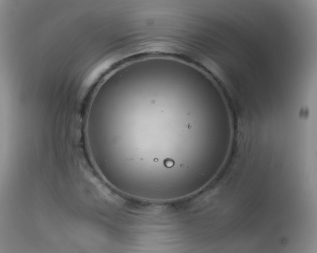 X0000113331067200909141421