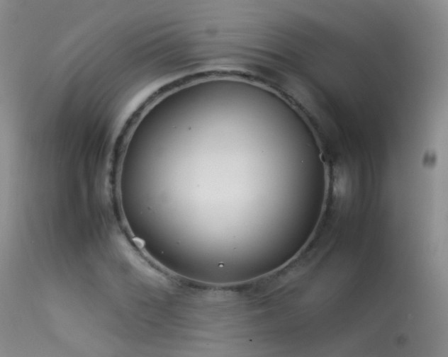 X0000113331068200909141421