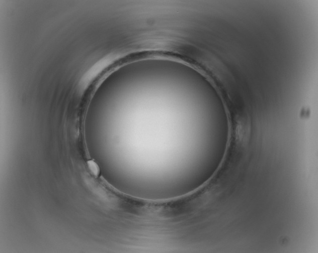 X0000113331069200909141421