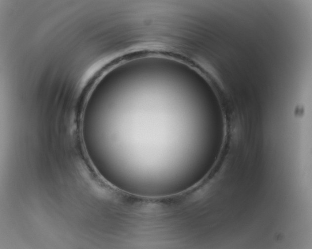 X0000113331070200909141421