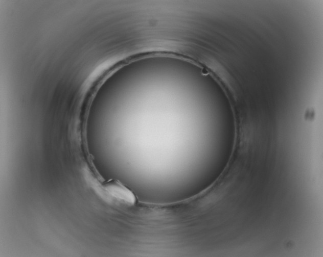 X0000113331072200909141421