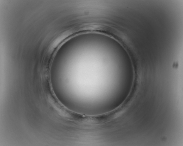 X0000113331073200909141421