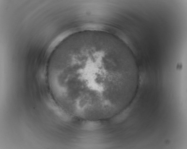 X0000113331074200909141421