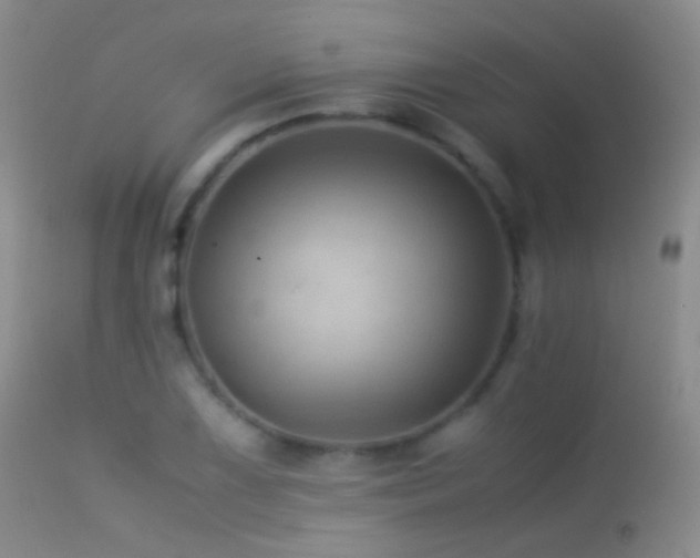 X0000113331075200909141421