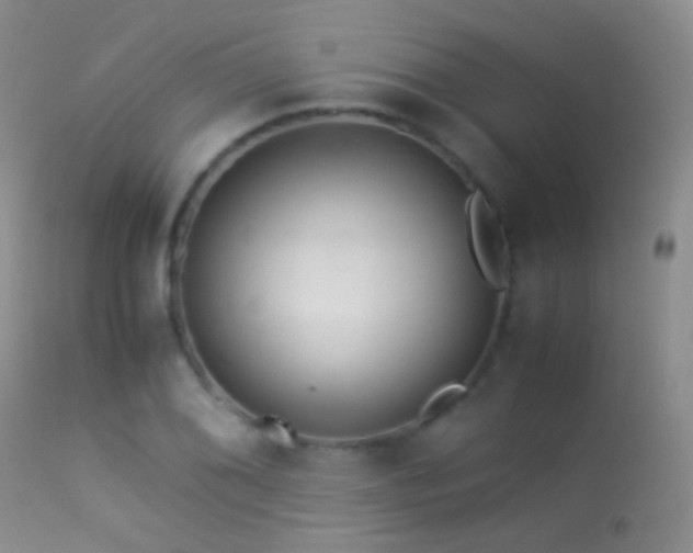 X0000113331076200909141421