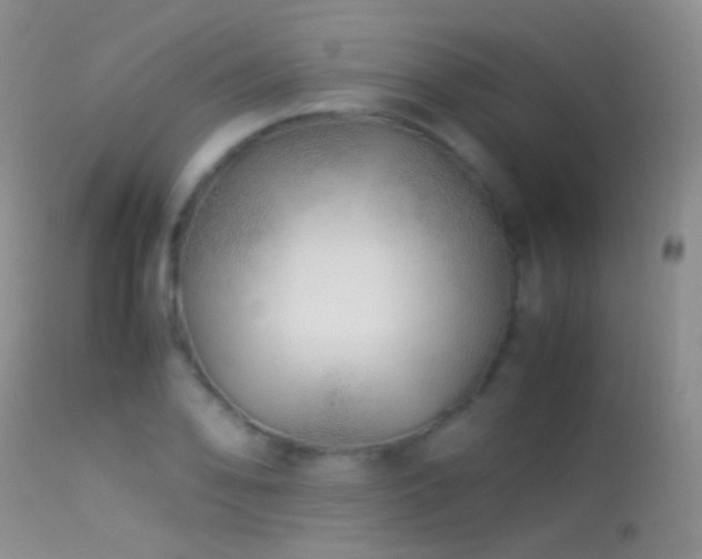 X0000113331078200909141421