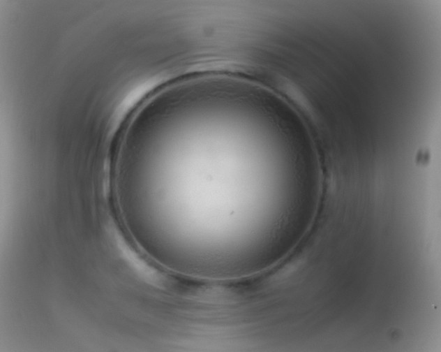 X0000113331079200909141421