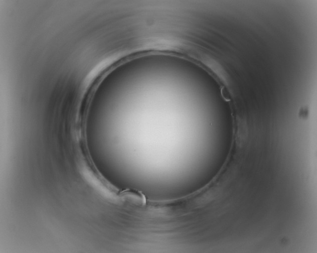X0000113331080200909141421