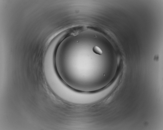 X0000113331081200909141421