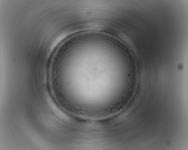 X0000113331083200909141421