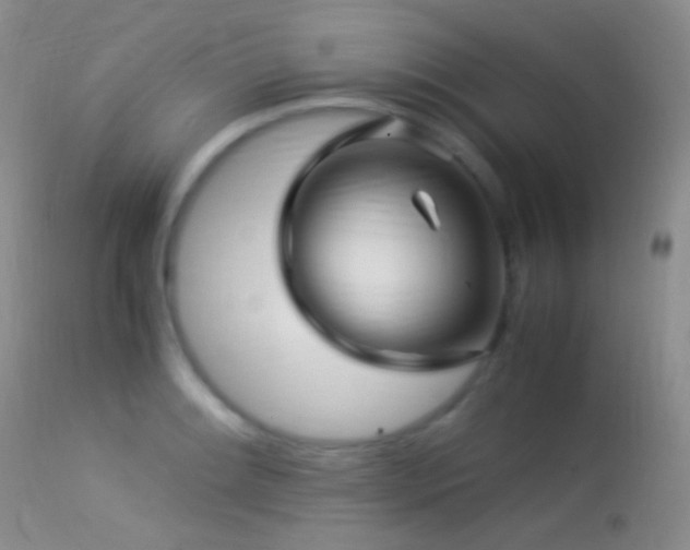 X0000113331084200909141421