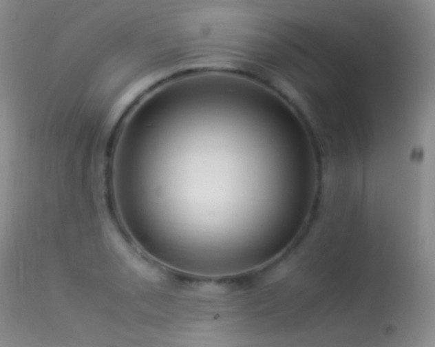 X0000113331085200909141421