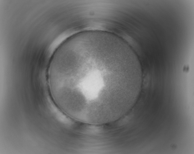 X0000113331086200909141421