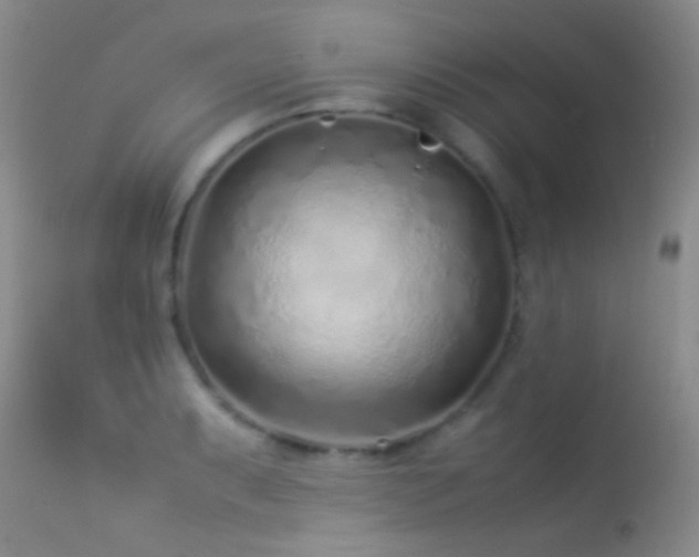 X0000113331087200909141421