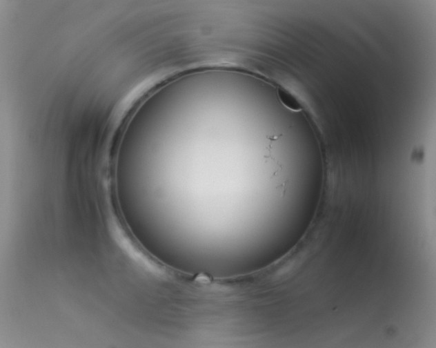 X0000113331088200909141421