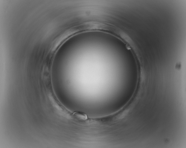 X0000113331089200909141421