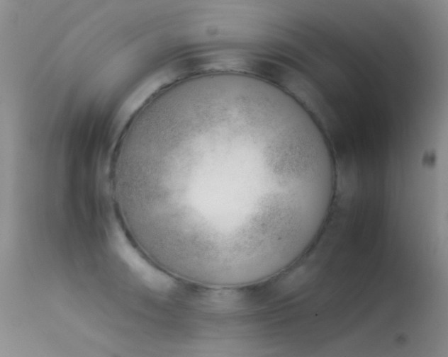 X0000113331090200909141421