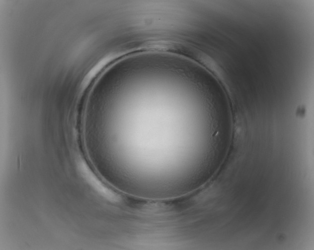X0000113331091200909141421