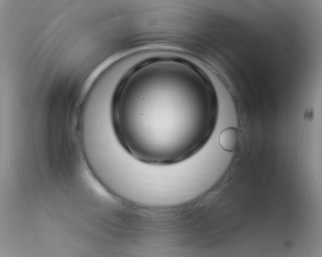 X0000113331092200909141421