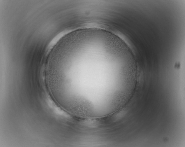 X0000113331094200909141421