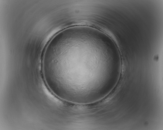 X0000113331095200909141421
