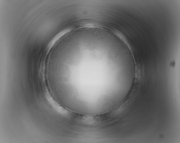 X0000113331098200909141420