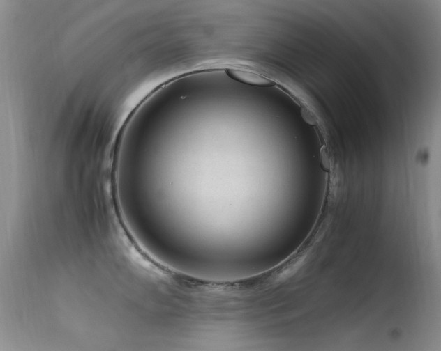 X0000113331102200909141420