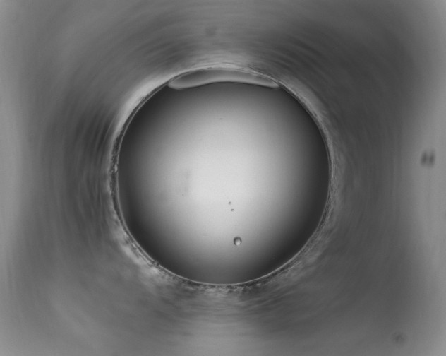 X0000113331104200909141420
