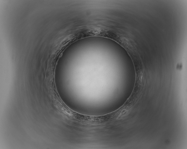 X0000113331105200909141420