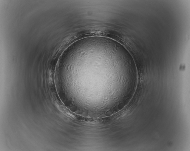 X0000113331106200909141420