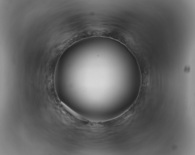 X0000113331109200909141420