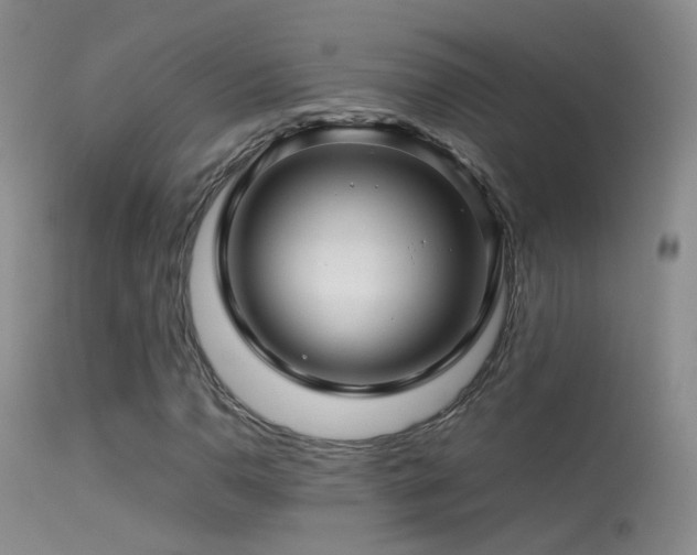 X0000113331110200909141420